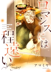 ロマンスには程遠い After Story [新書館]