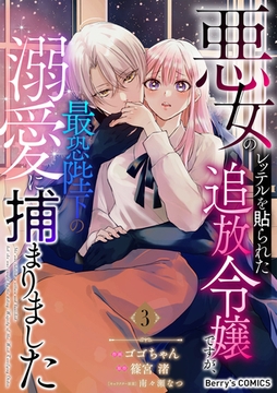 悪女のレッテルを貼られた追放令嬢ですが、最恐陛下の溺愛に捕まりました3巻 [スターツ出版]