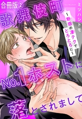 歌舞伎町No.1ホストに落とされまして～魅惑の凄テクでとろとろに～【合冊版】2 [秋水社ORIGINAL]