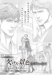 欠けた景色 In Plain Sight [新書館]