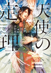 天使の定理 [新書館]