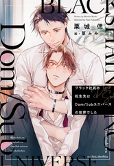 ブラック社員の転生先はDom/Subユニバースの世界でした《小説版》 [新書館]