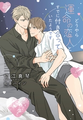 どうやら運命の恋人とすでに付き合っていたようです [新書館]
