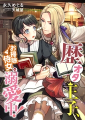 歴オタ王子、お掃除侍女を溺愛中！ [くるみ舎]