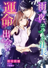 雨の夜、エリート社長と運命の出会いがありました [くるみ舎]