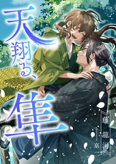 天翔る、隼 [くるみ舎]