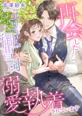 再会したエリート御曹司に溺愛執着されています [くるみ舎]