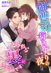 御曹司との行きずりの一夜には、どうやら裏がありそうです [くるみ舎]