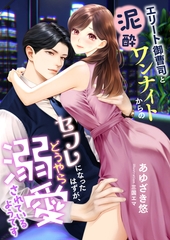 エリート御曹司と泥酔ワンナイトからのセフレになったはずが、どうやら溺愛されているようです [くるみ舎]