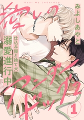 愛しのアンダードッグ2(1) [アメイロ]