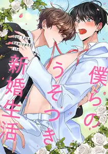 僕らのうそつき新婚生活(12)