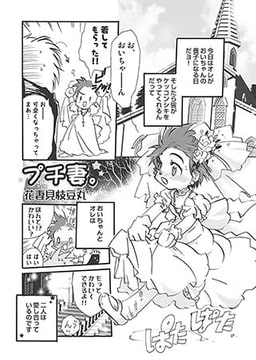 プチ妻 [メディアックス]