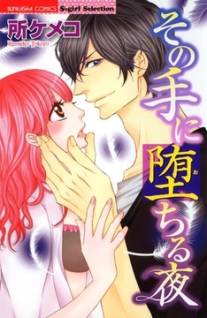 その手に堕ちる夜 [ぶんか社]