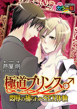 極道プリンス♂悶辱の捕らわれSEX体験 カラー版 [CLLENN]