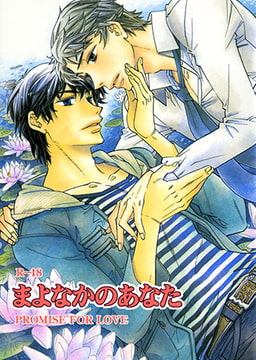 まよなかのあなた [青林堂ビジュアル]