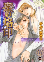 凍る灼熱（分冊版）　【第12話】 [海王社]