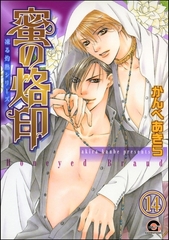 凍る灼熱（分冊版）　【第14話】 [海王社]
