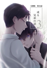 【分冊版】或る兄弟の話 22話 [ナンバーナイン]