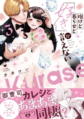 抱けど暮らせど「好き」が言えない 3【電子限定漫画付き】 [ブライト出版]