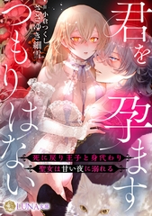 君を孕ますつもりはない　～死に戻り王子と身代わり聖女は甘い夜に溺れる～ [天海社]