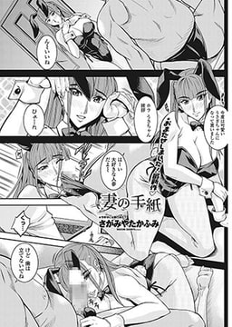 妻の手紙 [辰巳出版]