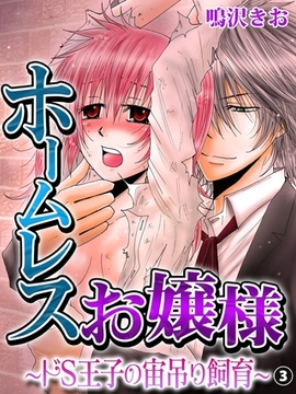 ホームレスお嬢様〜ドＳ王子の宙吊り飼育〜３ [モバイルメディアリサーチ]