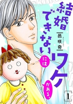 結婚できないにはワケがある。【描き下ろしおまけ付き特装版】 6巻パック [シーモアコミックス]
