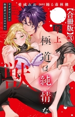 年上極道は純情な獣 ヤクザのくせに保護者ぶるのはやめて【合冊版】3 [大都社/秋水社]