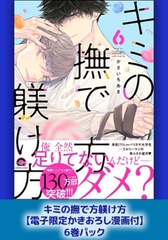 キミの撫で方躾け方【電子限定かきおろし漫画付】6巻パック [海王社]