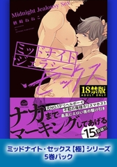 ミッドナイト・セックス【極】シリーズ5巻パック [海王社]