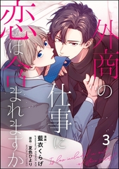 外商の仕事に恋は含まれますか（分冊版）　【第3話】 [海王社]