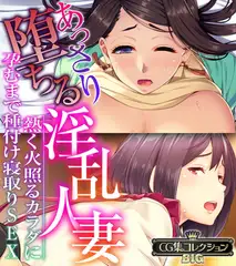 あっさり堕ちる淫乱人妻 ～熱く火照るカラダに孕むまで種付け寝取りSEX～【CG集コレクションBIG】
