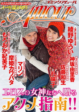 コミック・アムール 2013年3月号 [マガジン・マガジン]