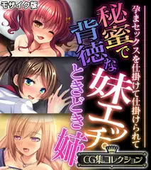 秘蜜で背徳な妹エッチ。ときどき姉 ～孕まセックスを仕掛けて仕掛けられて～【CG集コレクション】 モザイク版