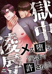 獄中凌○～メス堕ちするまで許さない【特別修正版】 13巻パック [Mr.Blue]