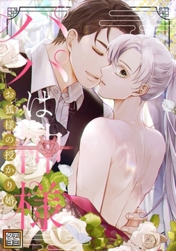 パパは神様～お狐様の授かり婚【タテヨミ】 66巻パック [Mr.Blue]