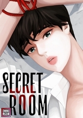 SECRET ROOM【特別修正版】 26巻パック [Mr.Blue]