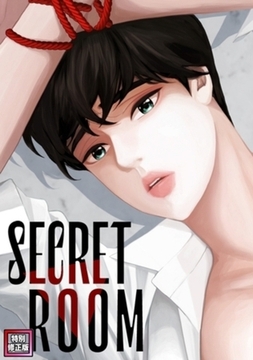 SECRET ROOM【特別修正版】 26巻パック [Mr.Blue]