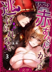 むっつり赤ずきんくんからは逃げられない【R‐18版】 （3） [ナンバーナイン]