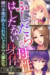 ふしだらな母性、はしたない身体。 ～雌の本能が抑えられないドスケベ人妻たち～【CG集コレクションBIG】 [どろっぷす！]