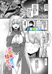 お姫様は勇者様と結ばれたい!! [文苑堂]