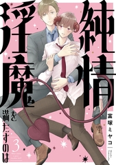 純情淫魔を満たすのは3 [メディアソフト]