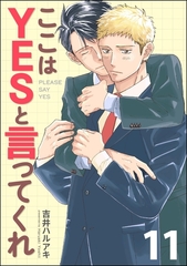 ここはYESと言ってくれ（分冊版）　【第11話】 [海王社]
