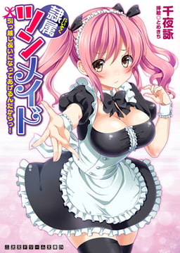 隷属ツンメイド　引っ越し祝いになってあげるんだからっ! [キルタイムコミュニケーション]