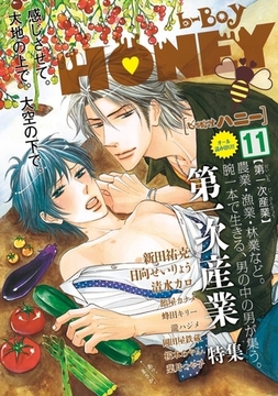 b-BOY HONEY （11） 第一次産業特集 [リブレ]