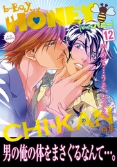 b-BOY HONEY （12） 痴○特集 [リブレ]