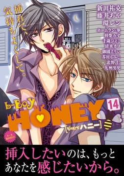 b-BOY HONEY （14） エロ合体特集 [リブレ]