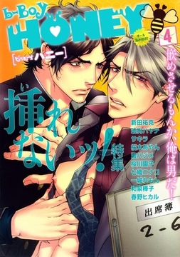 b-BOY HONEY （4） 挿れないッ！特集 [リブレ]