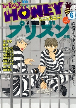 b-BOY HONEY （6） プリズン特集 [リブレ]