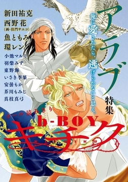 b-BOY キチク  アラブ特集 [リブレ]